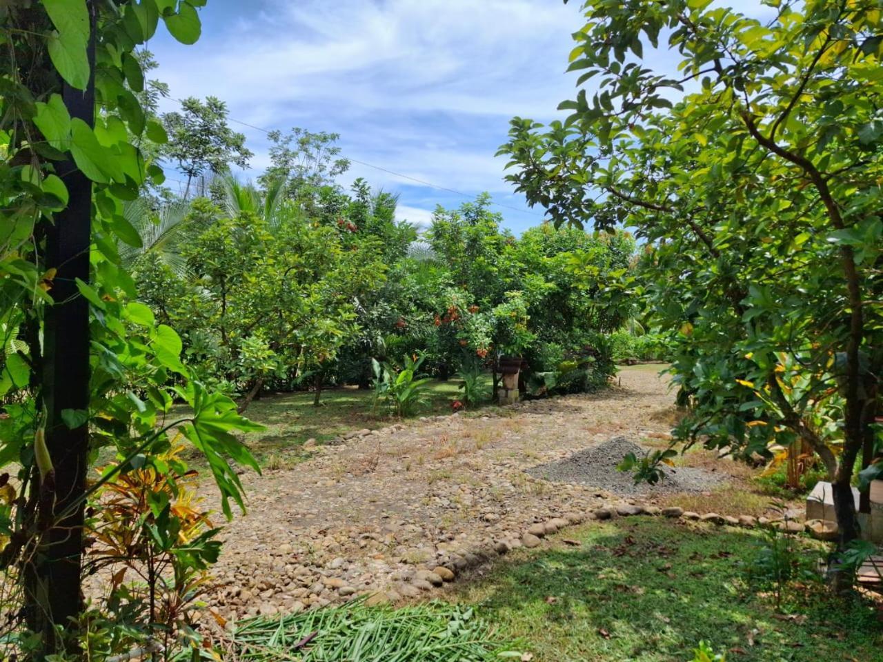 Bungalow Batsù La Fortuna Esterno foto